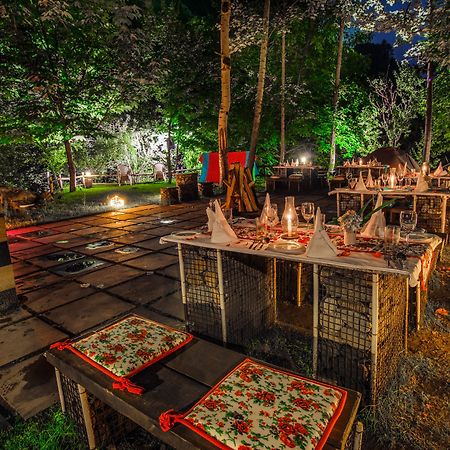 Solang Valley Resort Palchan Exterior foto
