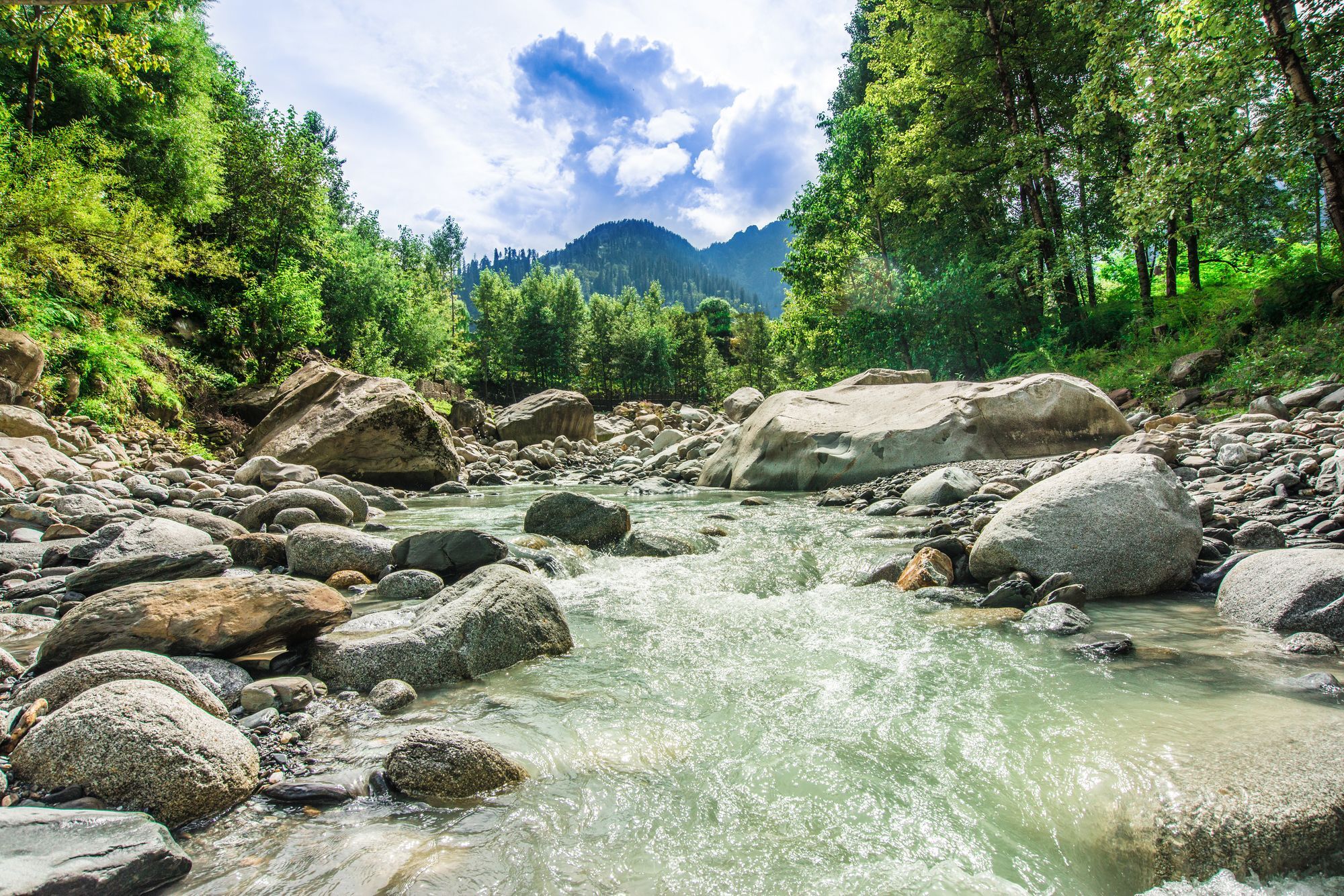 Solang Valley Resort Palchan Exterior foto