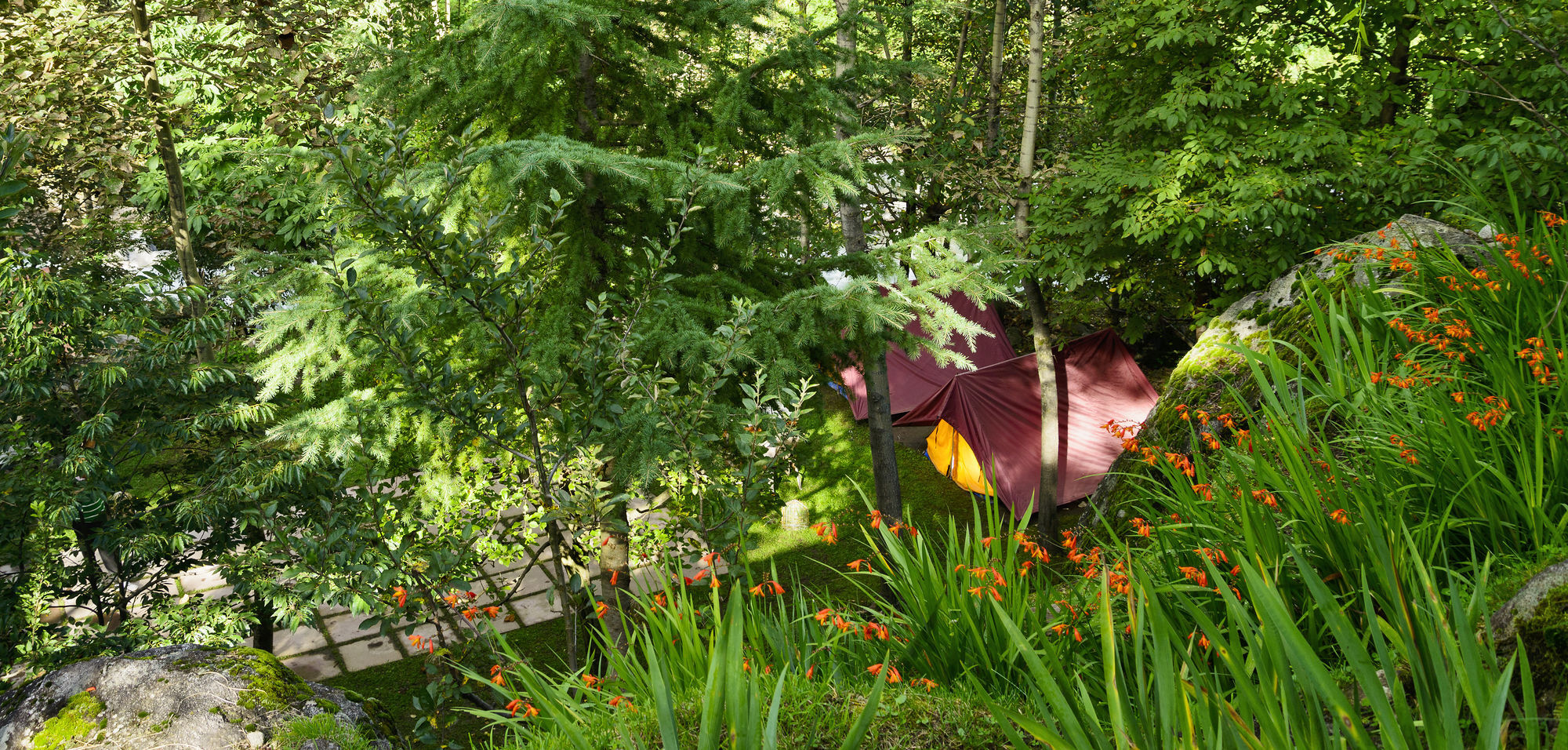 Solang Valley Resort Palchan Exterior foto