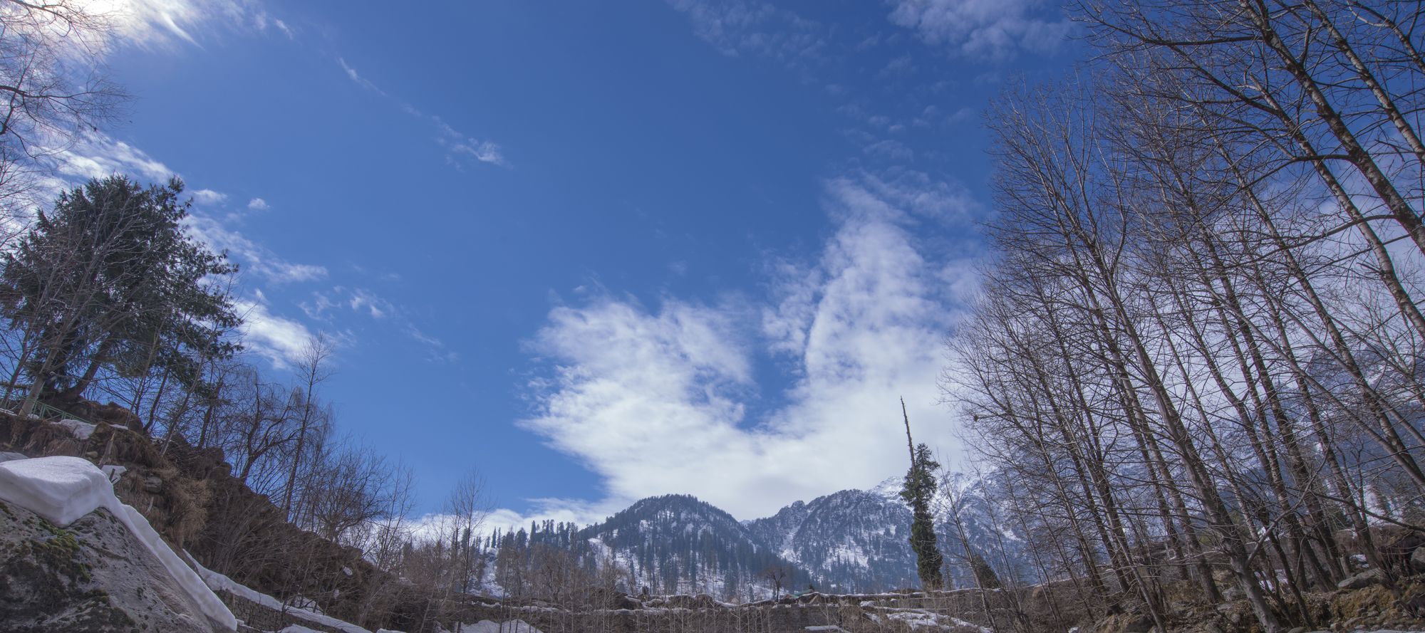 Solang Valley Resort Palchan Exterior foto