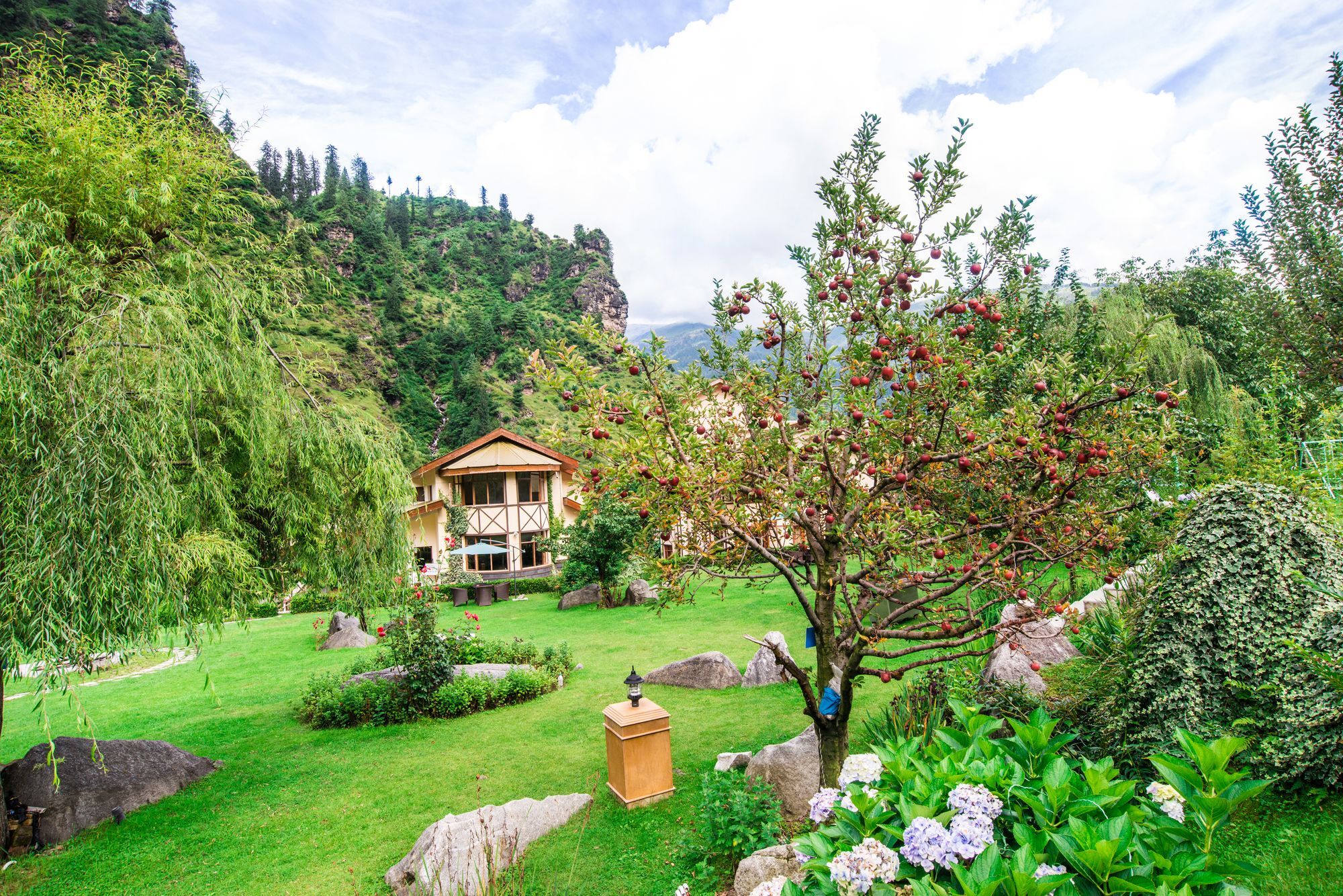 Solang Valley Resort Palchan Exterior foto