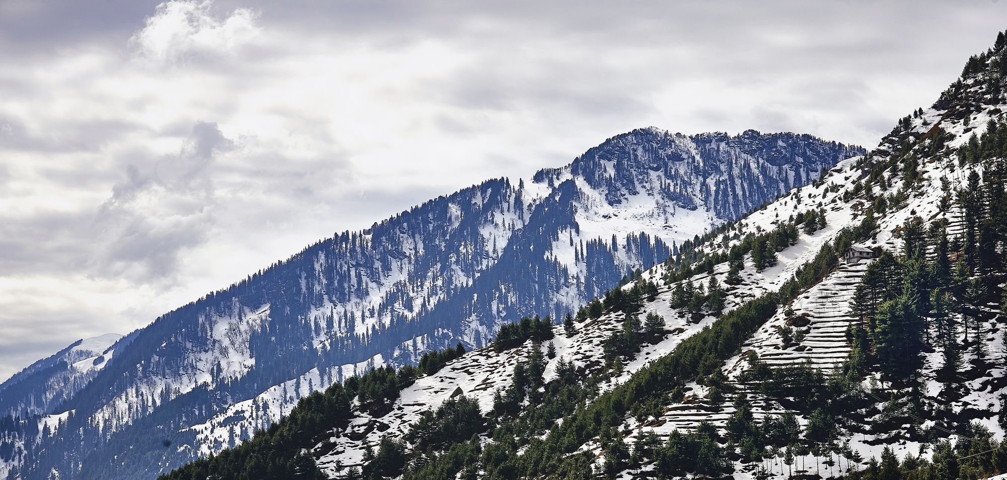 Solang Valley Resort Palchan Exterior foto