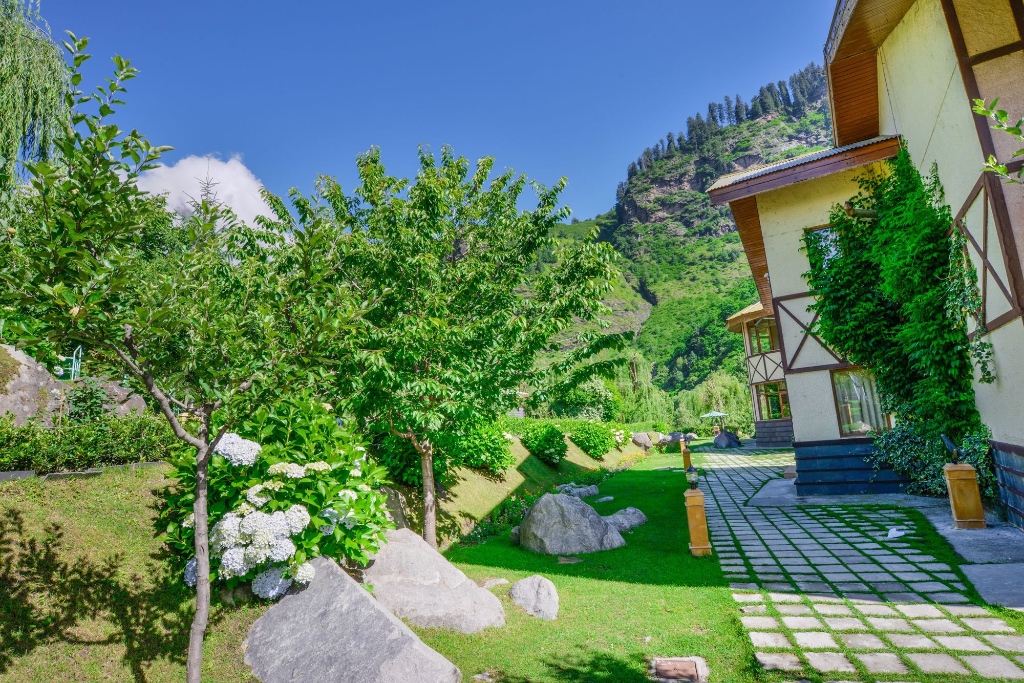 Solang Valley Resort Palchan Exterior foto