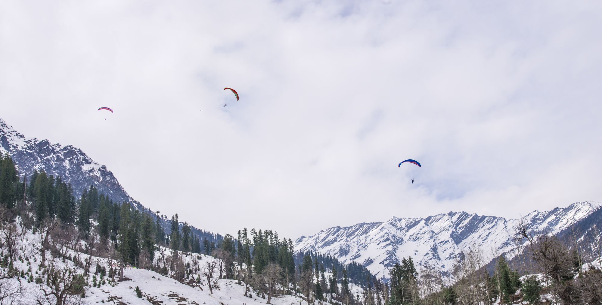 Solang Valley Resort Palchan Exterior foto