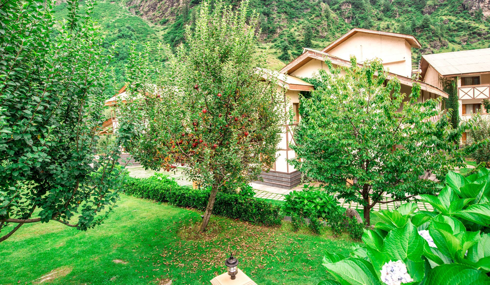 Solang Valley Resort Palchan Exterior foto