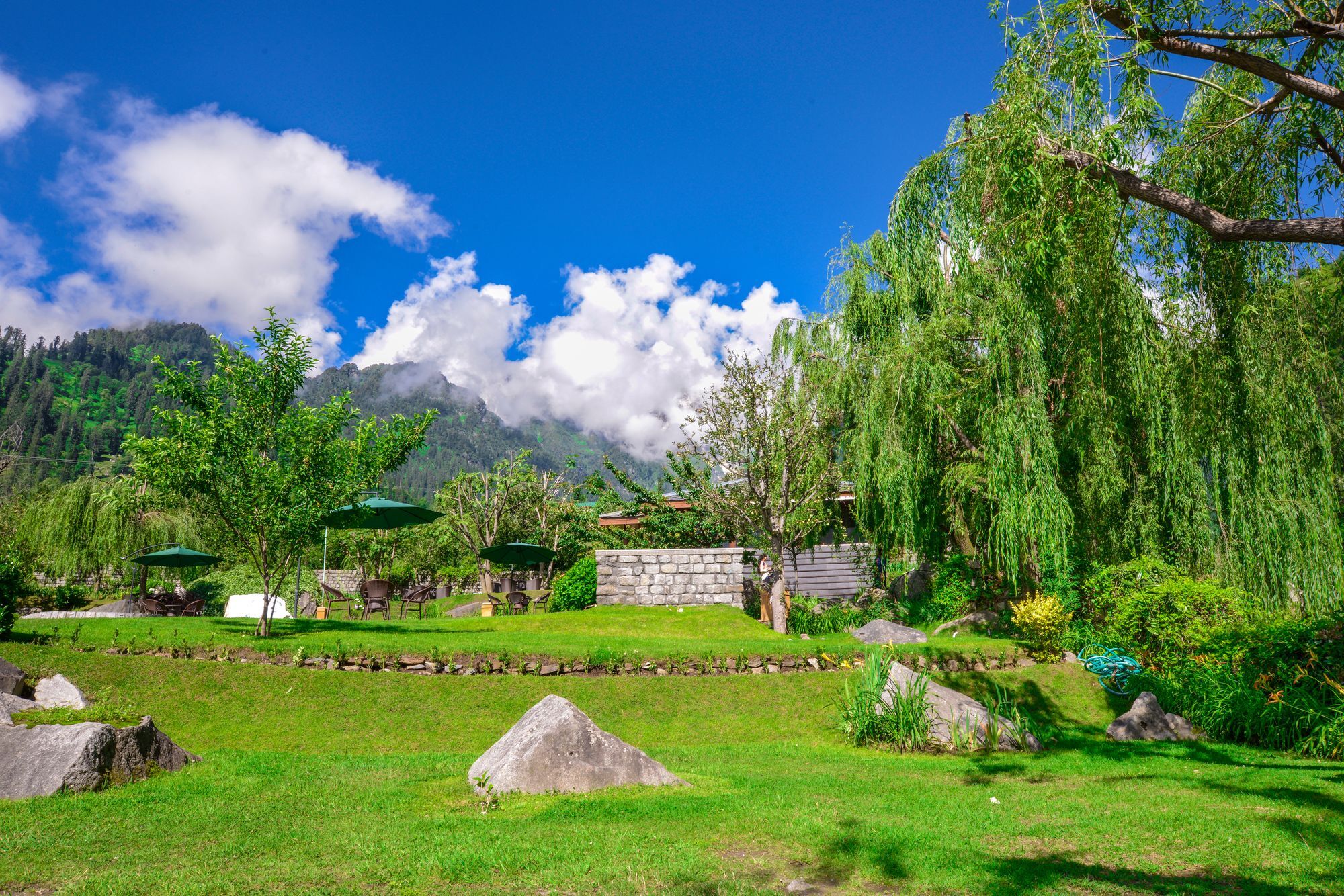 Solang Valley Resort Palchan Exterior foto